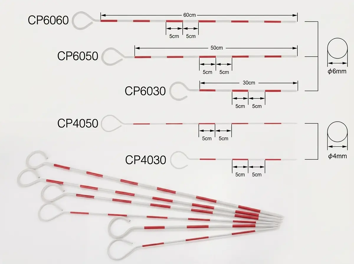 CP80100