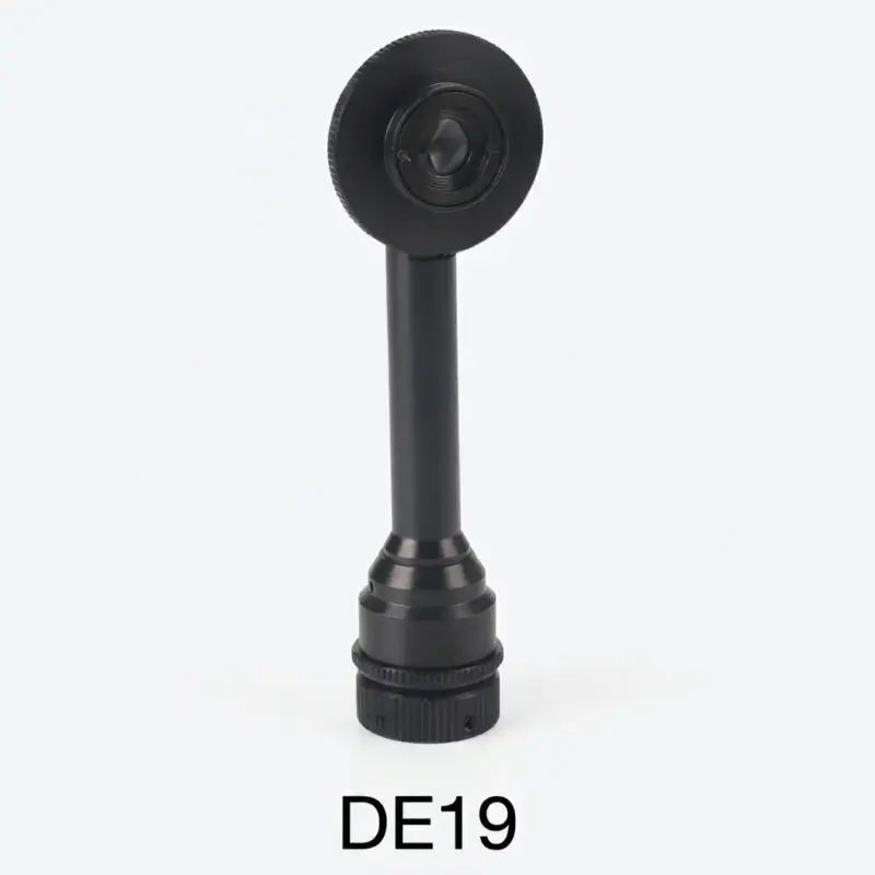 DE19