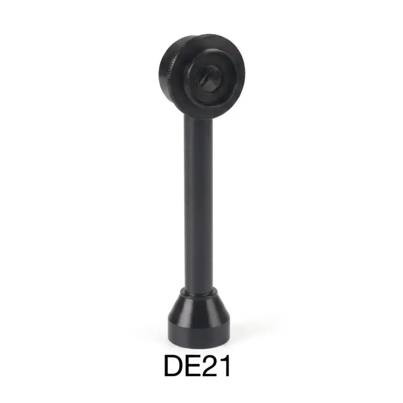 DE21