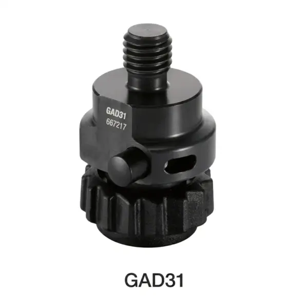 GAD31