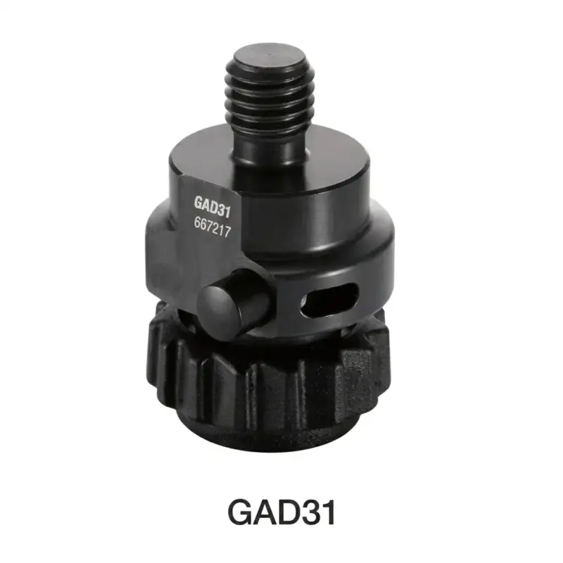 GAD31