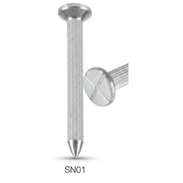 SN01