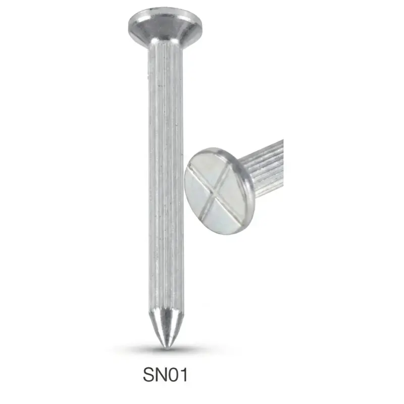 SN01