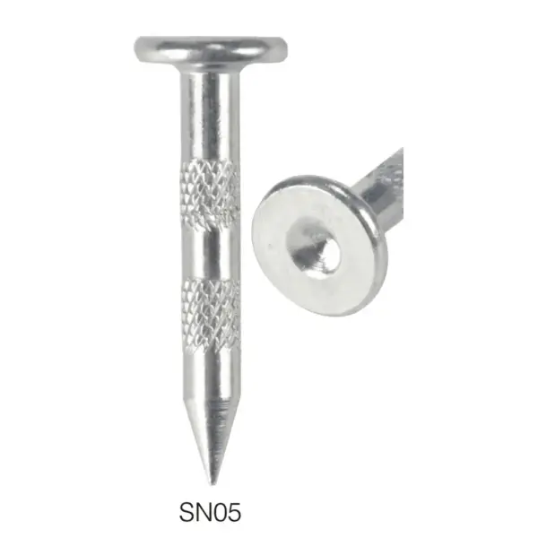 SN06